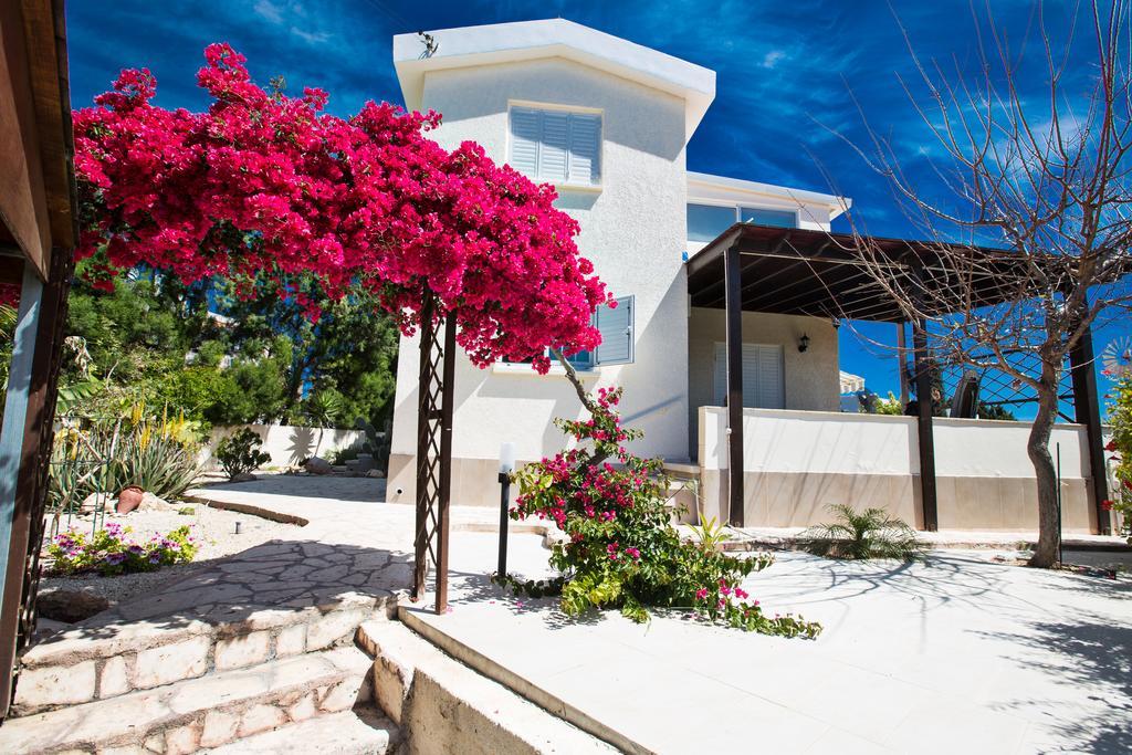 Merab Center Villas 圣纳帕 外观 照片